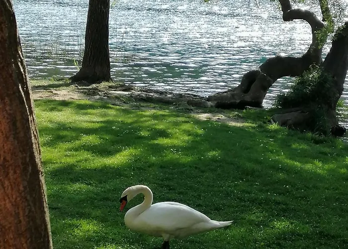 Modern Penthouse Ivan With Rooftop Swimming Pool And Jacuzzi *